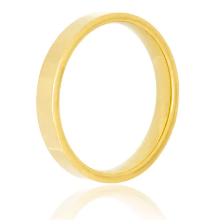 Aliança Urban Shine Steel